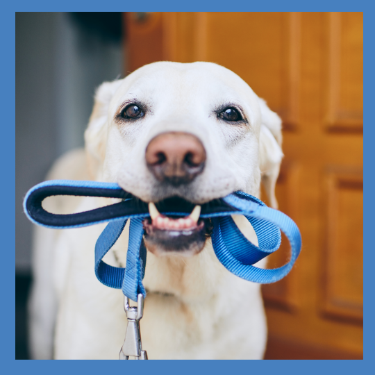 Top Summer Jobs for College Students 2022 The Branded Daily Digest