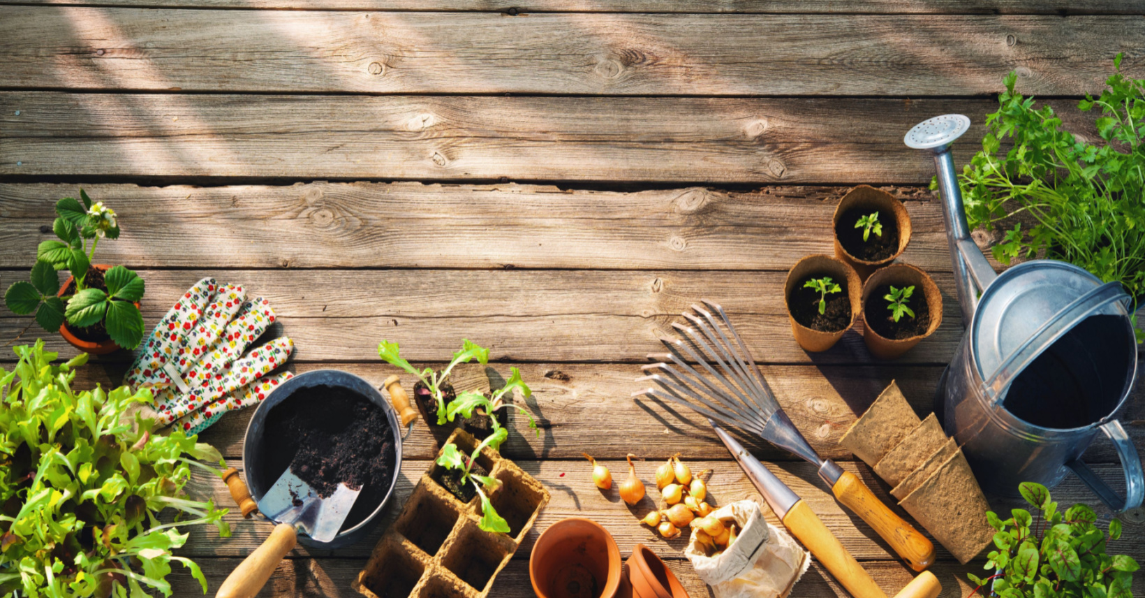 Cheap Gardening Ideas When You’re Trying to Budget