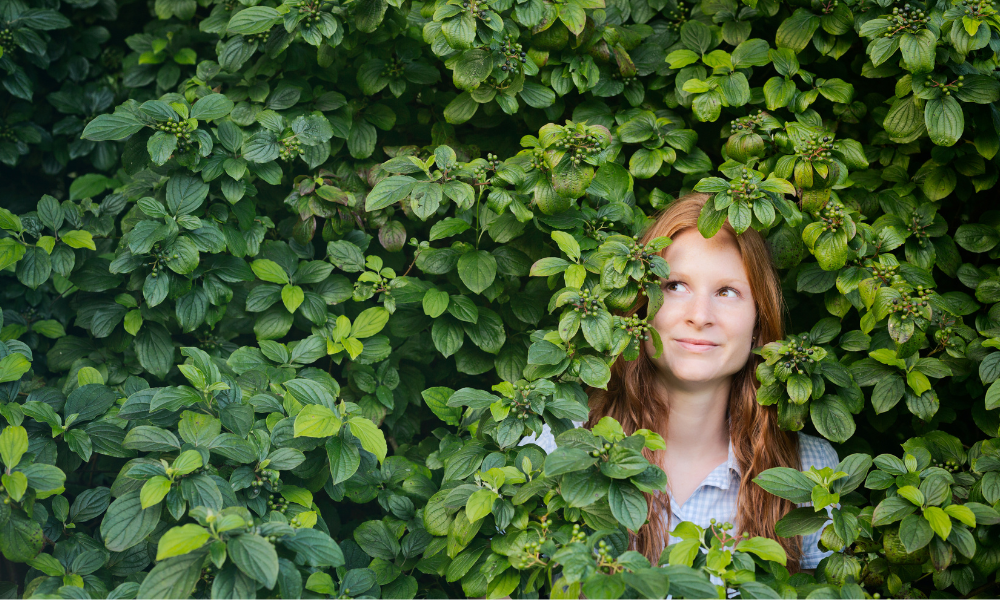 Sustainable Living: Practical Steps to Go Green in Your Daily Life